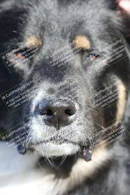 media/Jan-15-2026-Racers Edge (Thu) [[dfebeb70ab]]/1-Around the Pits-Track Walk/